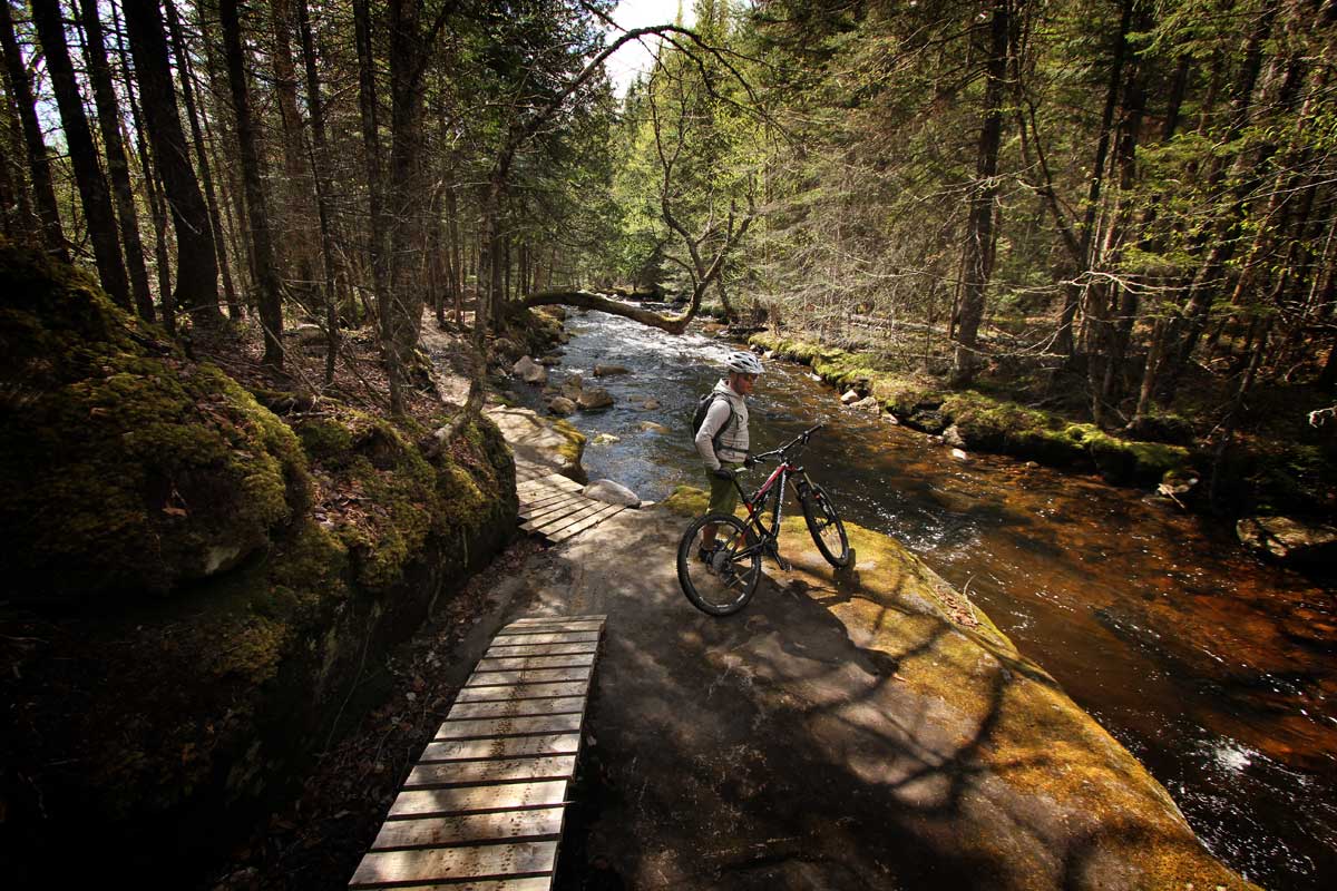 Vallee bras du nord banner